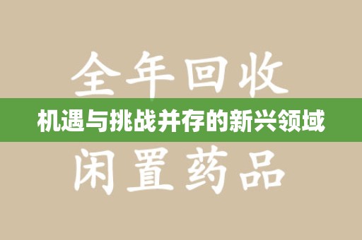 重庆机遇与挑战并存的新兴领域