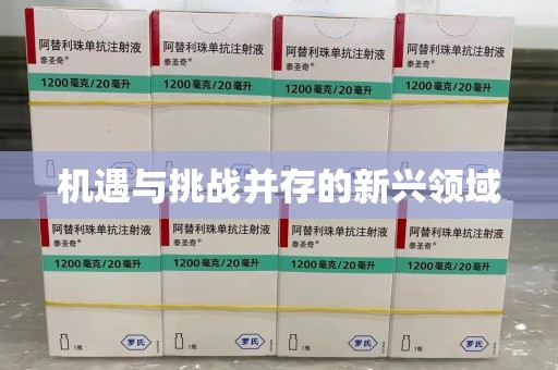 重庆机遇与挑战并存的新兴领域