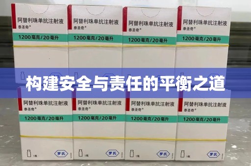 重庆构建安全与责任的平衡之道