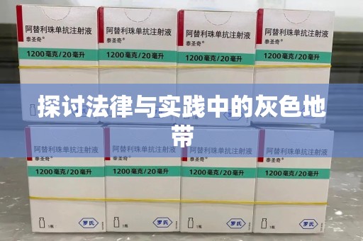 重庆探讨法律与实践中的灰色地带